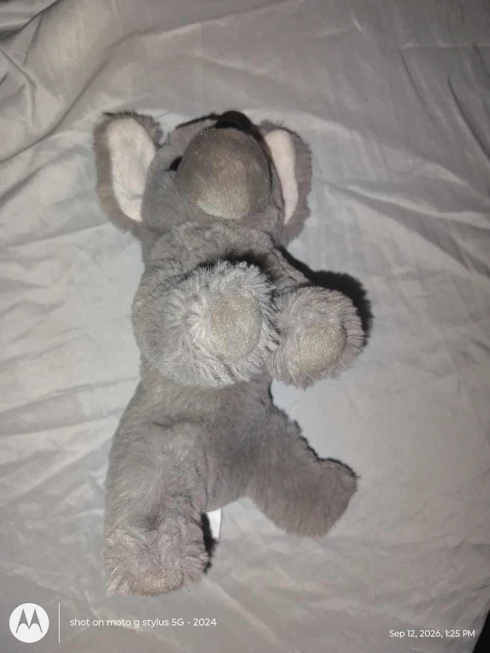 Douglas soft gray